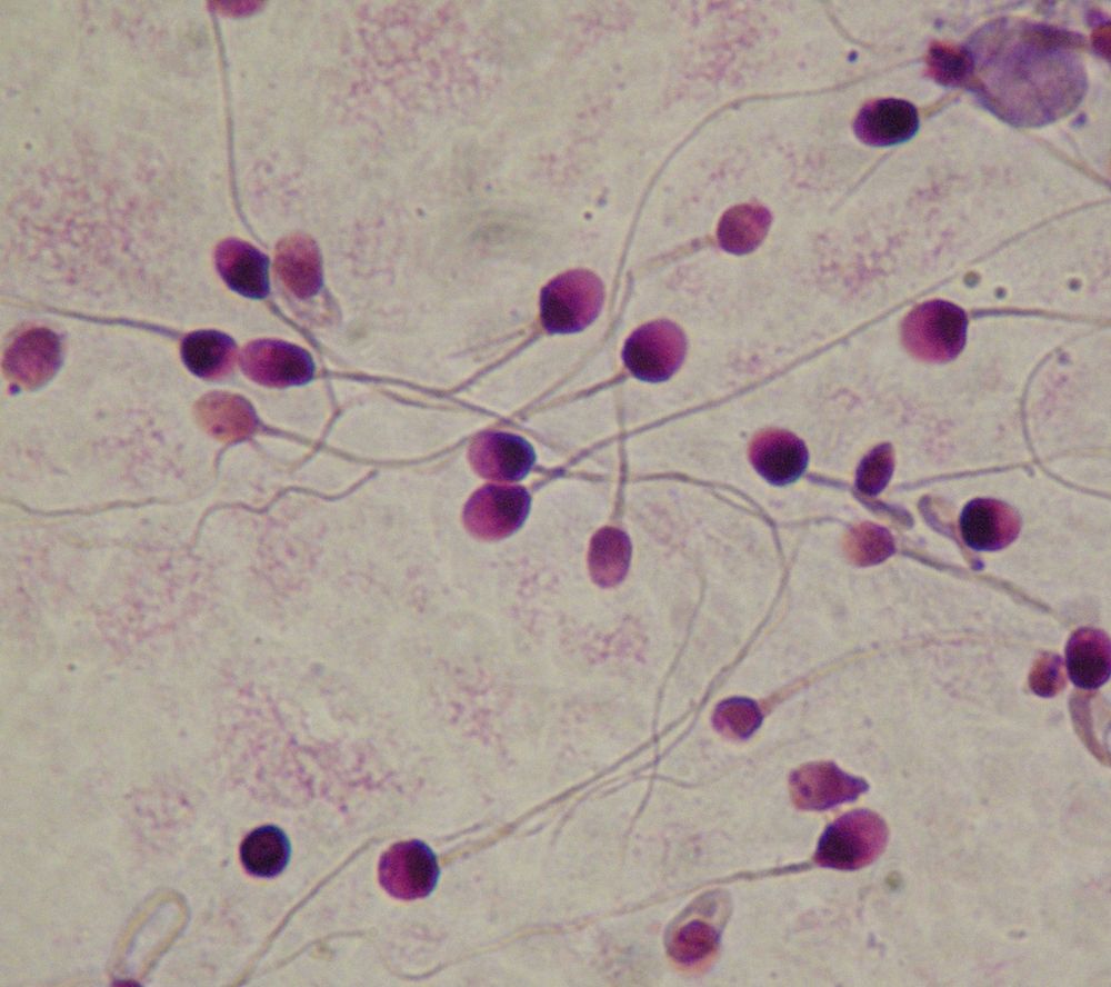 Question of the Week